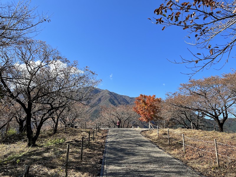 Mt. Fuji viewpoint - Mt. Fuji viewpoint 492 Nebara, Fujinomiya, Shizuoka 418-0101, Japan