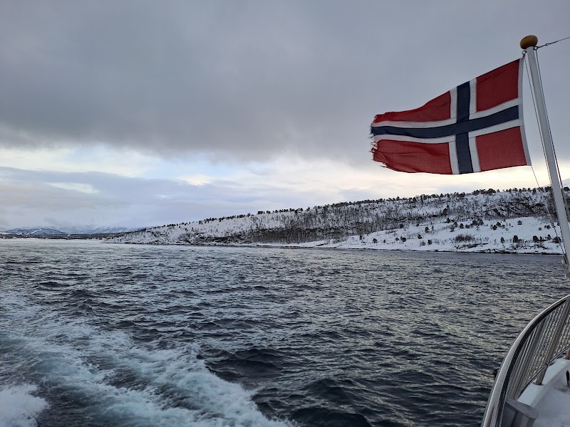Rødne Fjord Cruise whale safari and Northern Lights cruise - Rødne Fjord Cruise whale safari and Northern Lights cruise Nerstranda, 4008 Tromsø, Norway