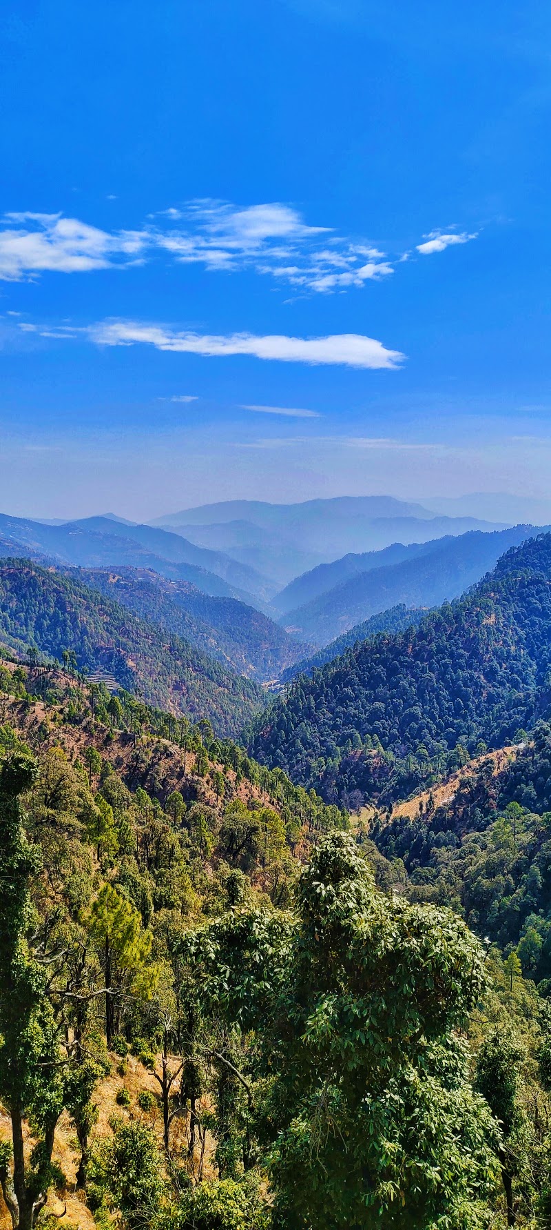The Hillside Cottages Road - The Hillside Cottages Road, Kanatal, Jwarna, Tehri Range, Uttarakhand 249145, India