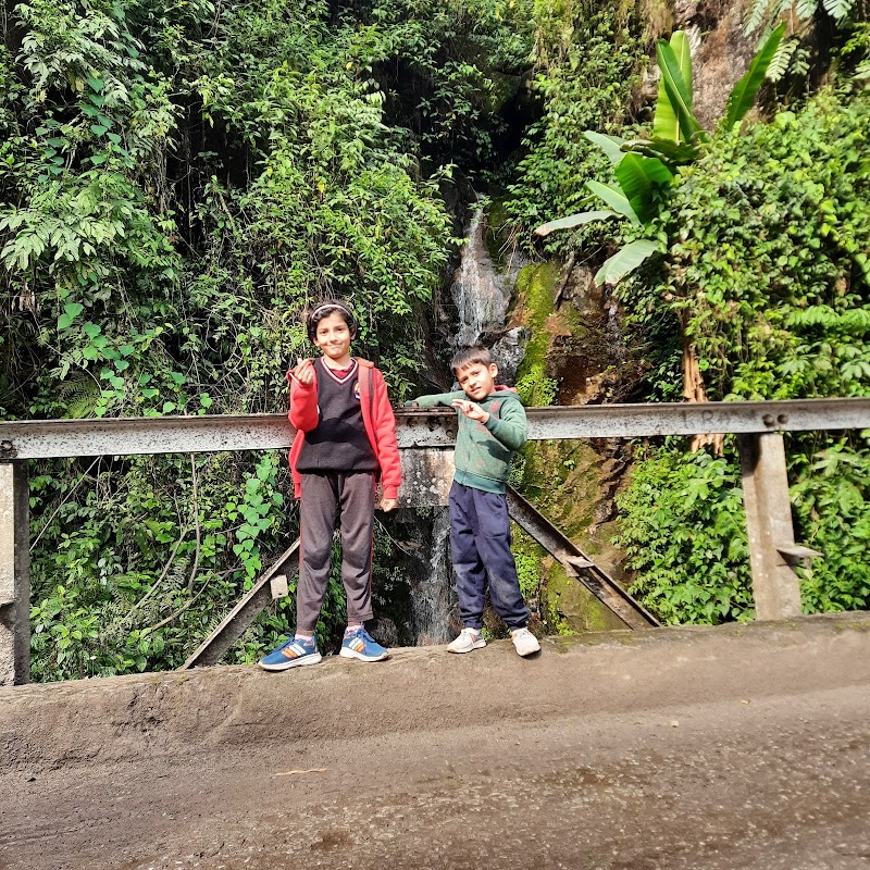 Darap Village Walk - Darap Village Walk Pelling-Rimbi Rd, Darap, Sikkim 737113, India