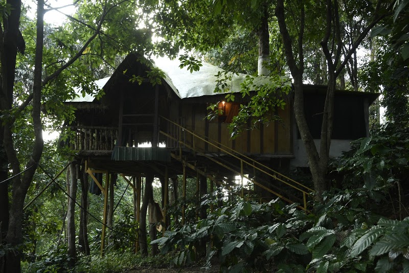 Eagle Eye Resorts, Chikmagalur - Eagle Eye Resorts, Chikmagalur, Hoscodu Estate, Kadavanthi, Sangameshwarpet, Hyarambi, Karnataka 577136, India