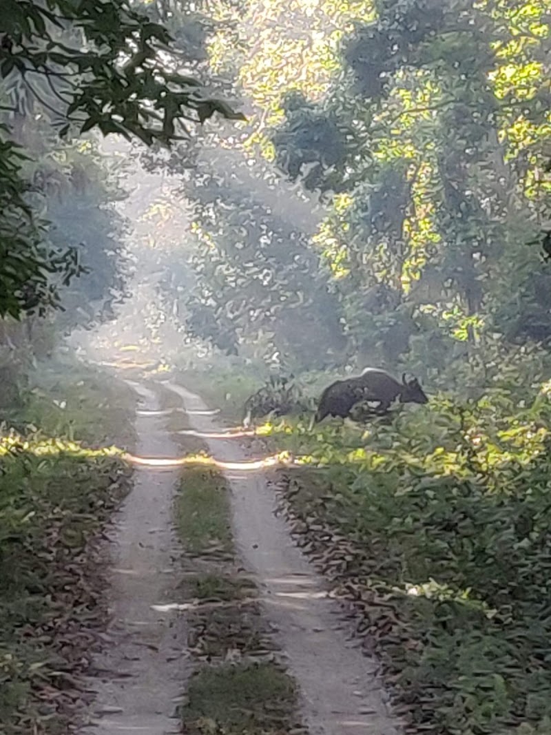 DOOARS TOURISM - DOOARS TOURISM, Dooars, Uttarpatkapara, Rajabhat Khawa, West Bengal 735227, India