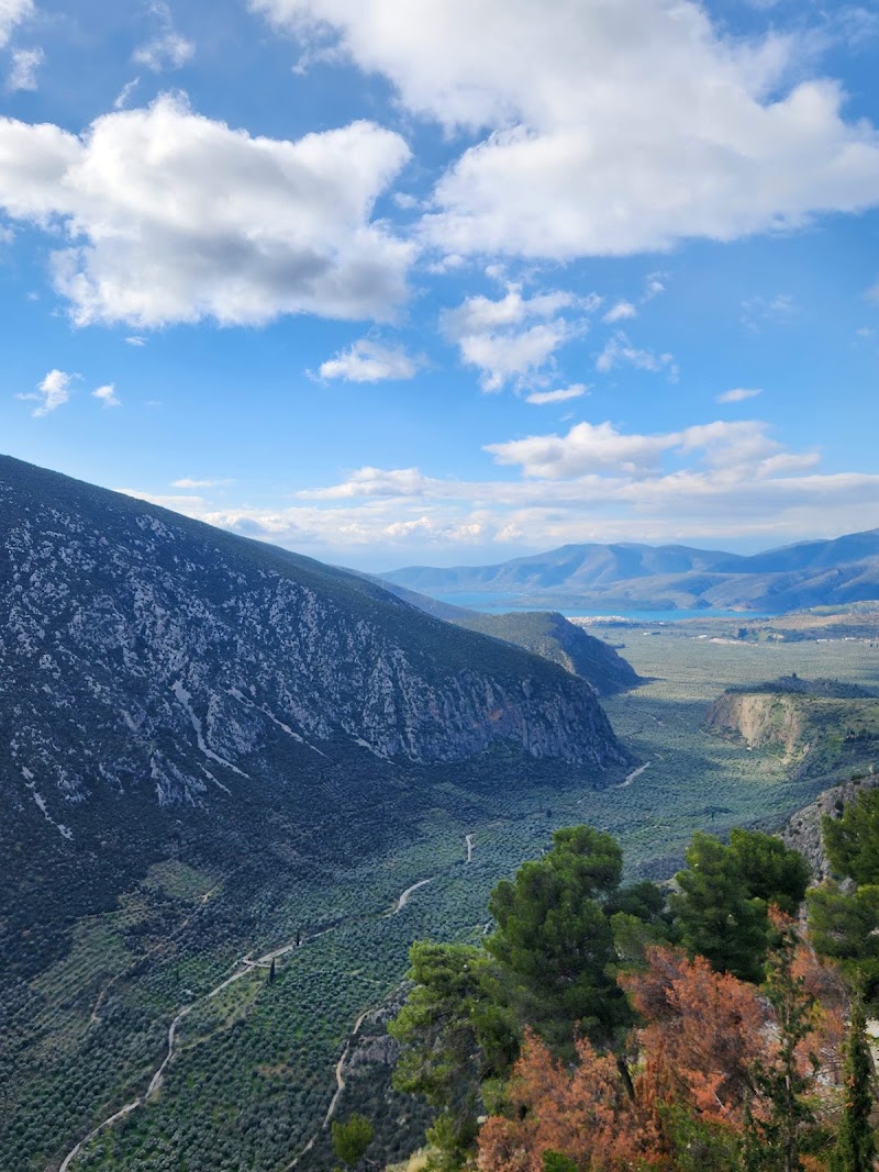 The Ancient Theater of Delphi - The Ancient Theater of Delphi, Delphi 330 54, Greece