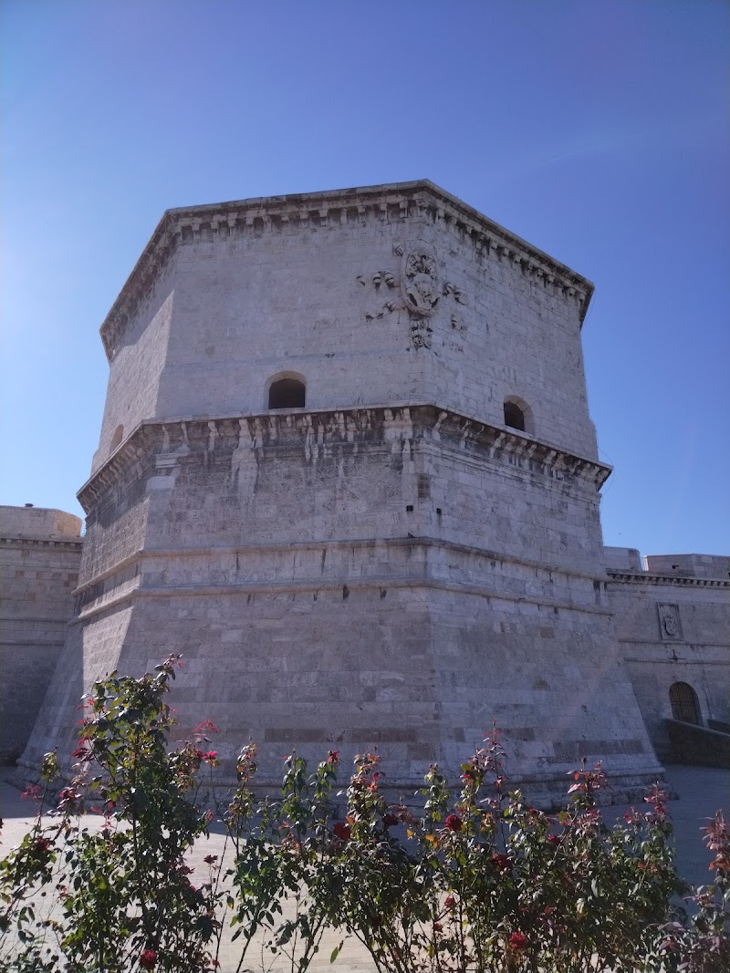 Civitavecchia - Civitavecchia, 00053 Civitavecchia, Metropolitan City of Rome Capital, Italy