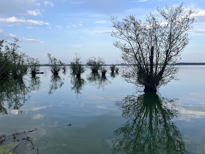Estil Lagoon - Estil Lagoon, Iran