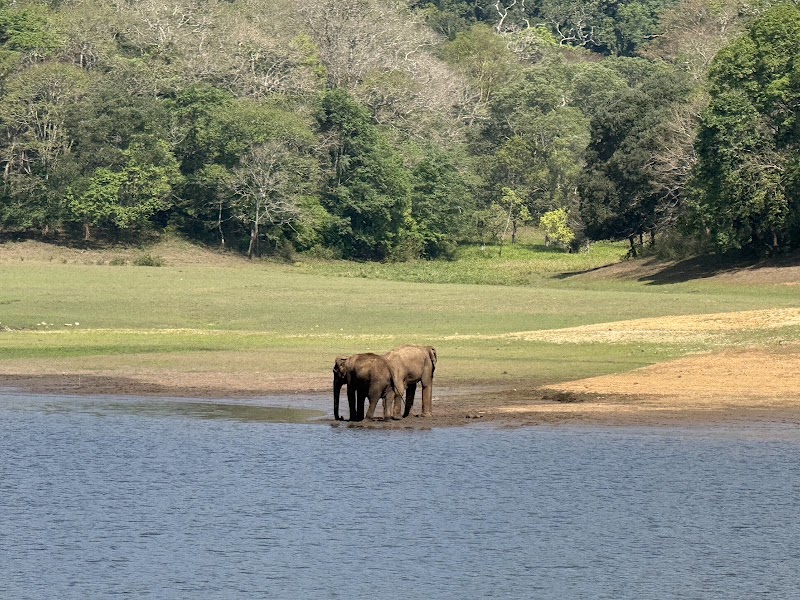 Periyar National Park Ticket Office - Periyar National Park Ticket Office Thekkady, Kumily, Kerala 685509, India