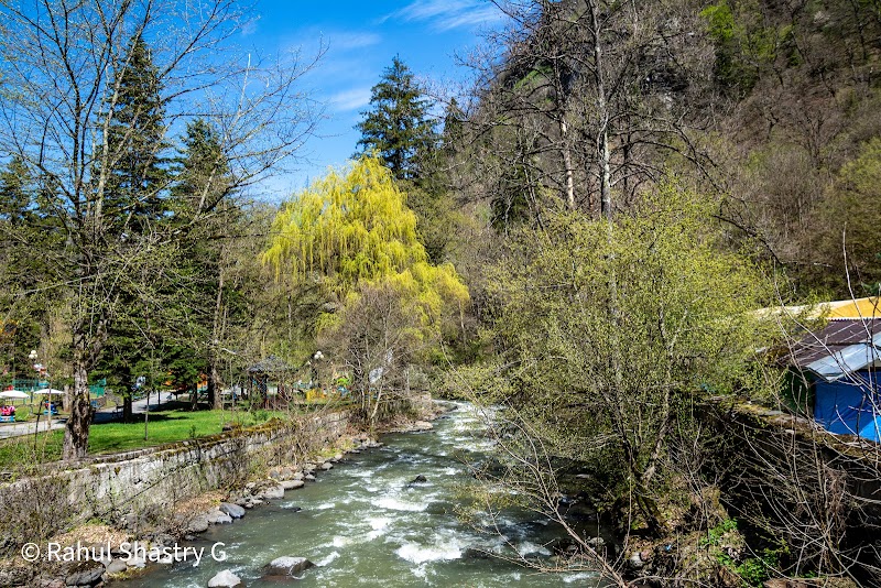 Borjomi & Kharagauli National Park - Borjomi & Kharagauli National Park, V66F+3JV, Kvabiskhevi, Georgia