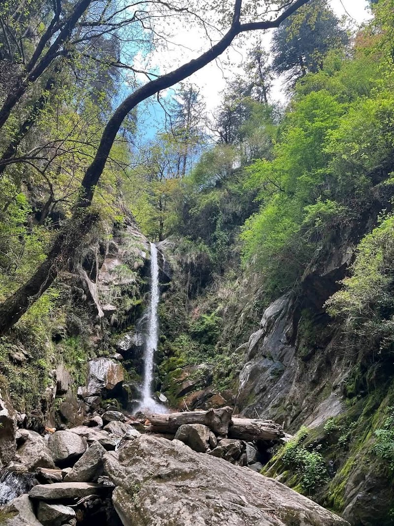 Sainj Valley - Sainj Valley Q83F+WWP, Dusharh, Kanaun, Himachal Pradesh 175134, India