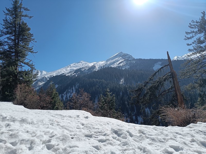 Apple Cottage Homestay and Cafe Kalgha - Apple Cottage Homestay and Cafe Kalgha, Apple Cottage, Cafe and Homestay, Apple centre, Kalgha, Kasol, Sosan, Himachal Pradesh 175105, India