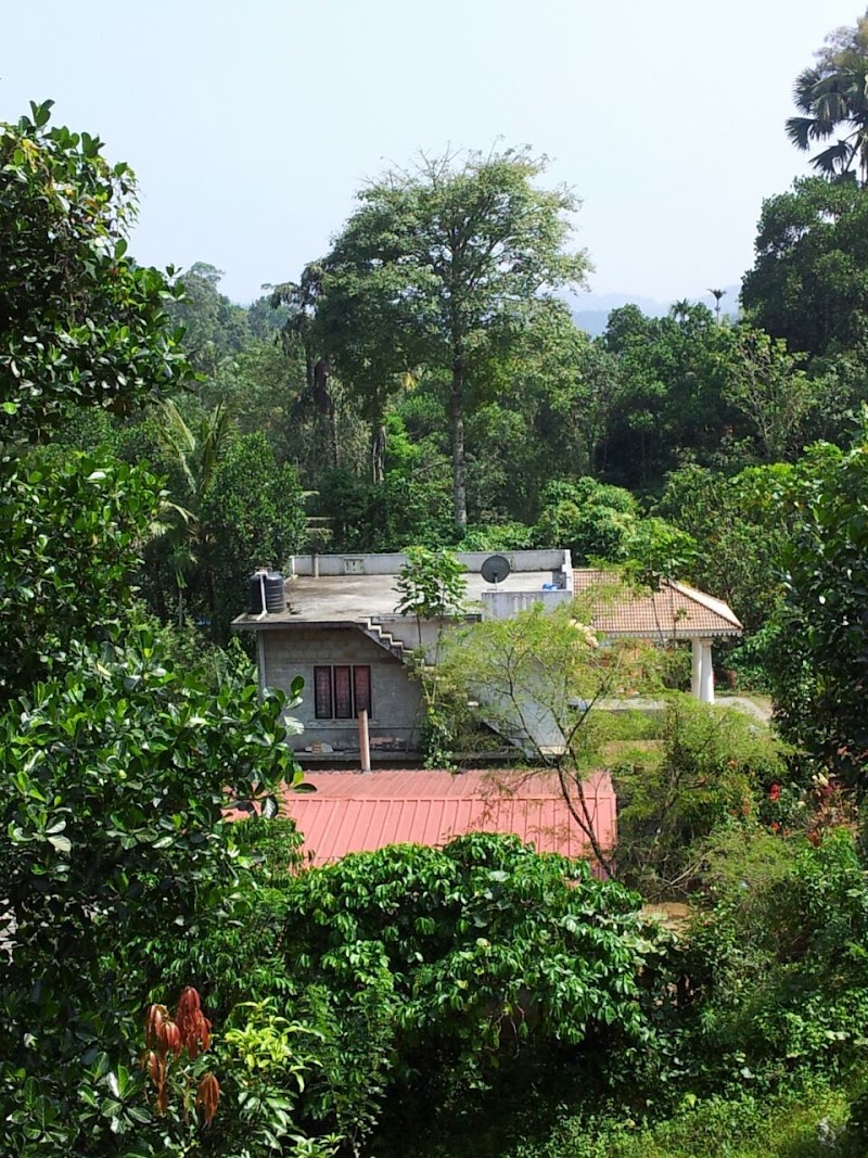 Mushroom Valley Homestay - Mushroom Valley Homestay Chithirapuram, Aadit, Kerala 685565, India