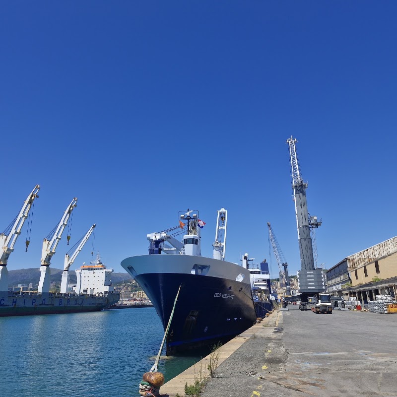 Genoa Port Terminal (Rebora) - Genoa Port Terminal (Rebora), Viale Africa, 16149 Genova GE, Italy