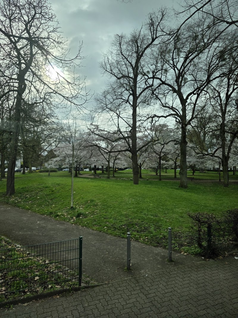 Square du Tivoli - Square du Tivoli Av. Schutzenberger, 67000 Strasbourg, France