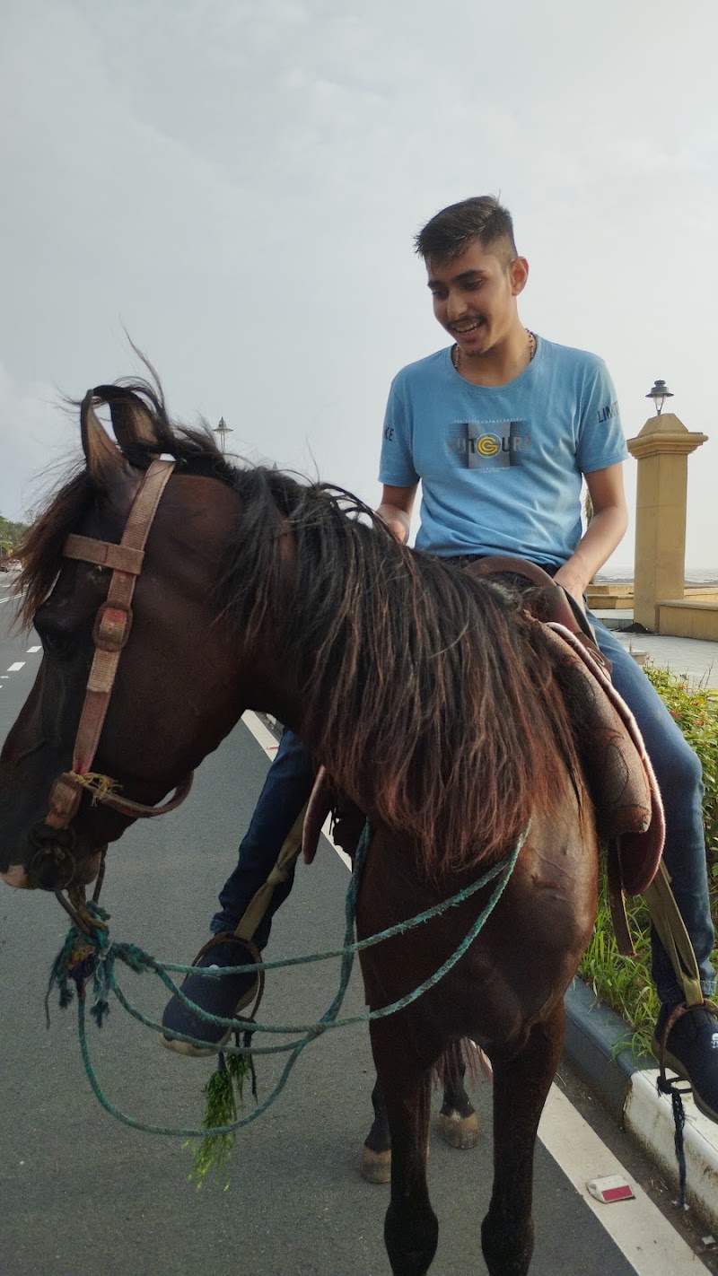 Snow View Point - Snow View Point RJG4+XVQ, Sirsu, Uttarakhand 246127, India