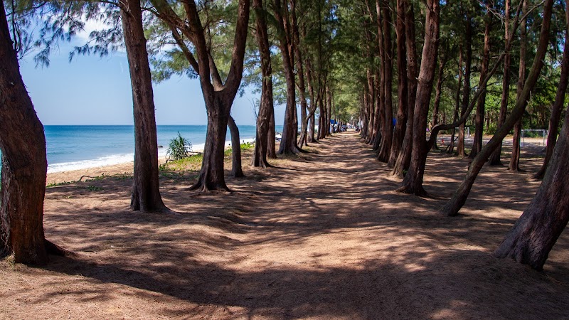 Mai Khao Beach - Mai Khao Beach, Phuket 83110, Thailand