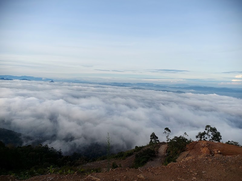 Lockhart Gap Road View Point - Lockhart Gap Road View Point 24PP+8PR, Devikulam, Keralam 685613, India