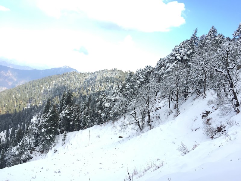 Hatu Peak - Hatu Peak Hatu Peak, Himachal Pradesh 171213, India