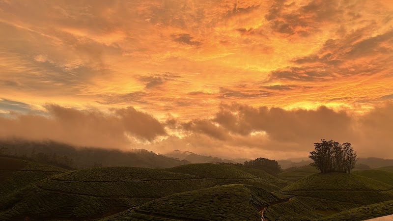 Door of Heaven - Door of Heaven 3469+R9, Kannan Devan Hills, Devikulam, Kerala 685613, India