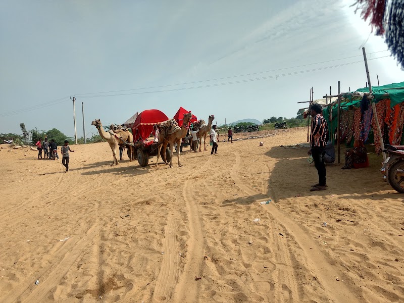 Pushkar Adventure Camp & Desert Camel Safari - Pushkar Adventure Camp & Desert Camel Safari, Office Address - Plot No. 20,Vinayak-C,Near Petrol Pump ,Pushkar 305022 +91 9828178063, Pushkar, Rajasthan 305022, India