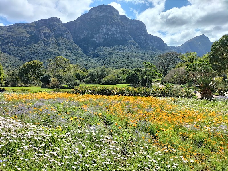 Kirstenbosch National Botanical Garden