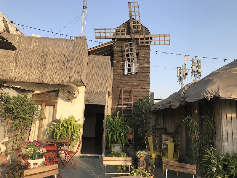 The Lazy Patio