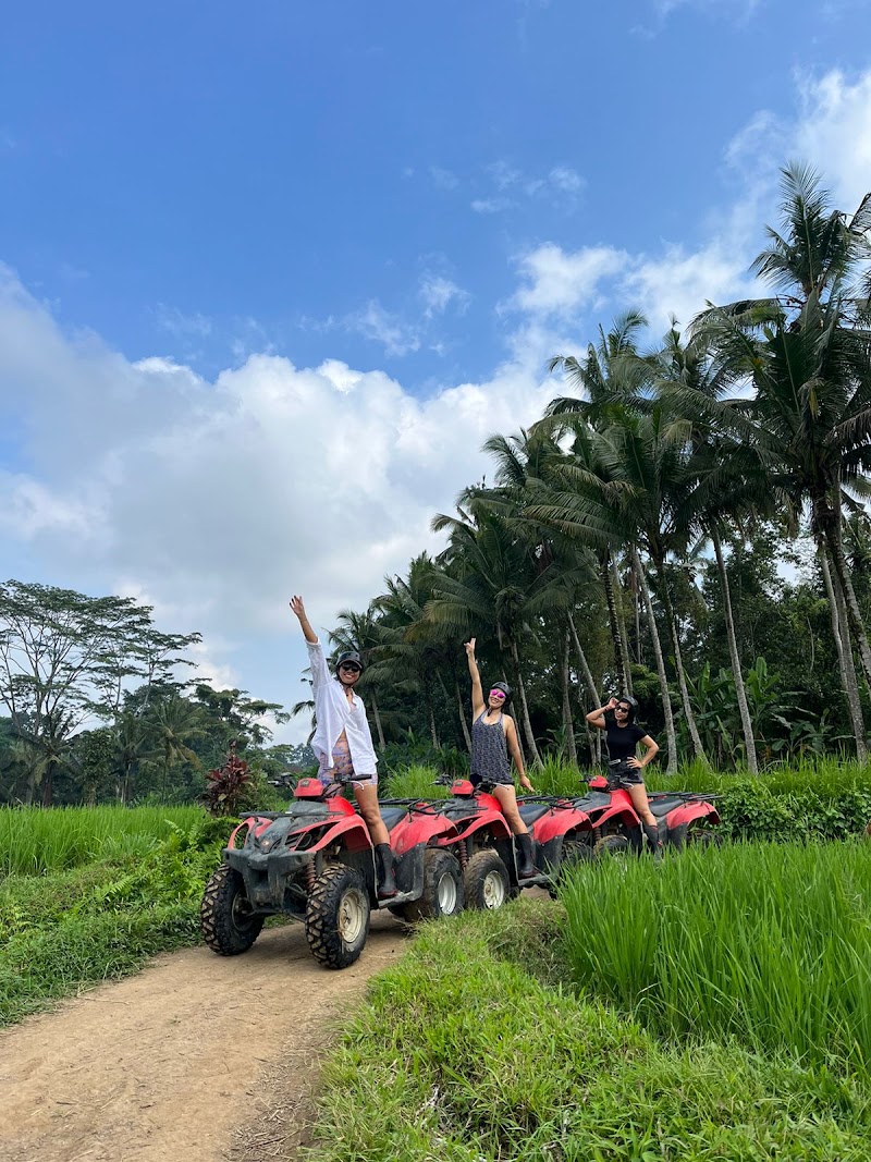Alamelu Bali ATV (Quad Bike) - Alamelu Bali ATV (Quad Bike), Jl. Raya Payangan, Melinggih Kelod, Kec. Payangan, Kabupaten Gianyar, Bali 80572, Indonesia