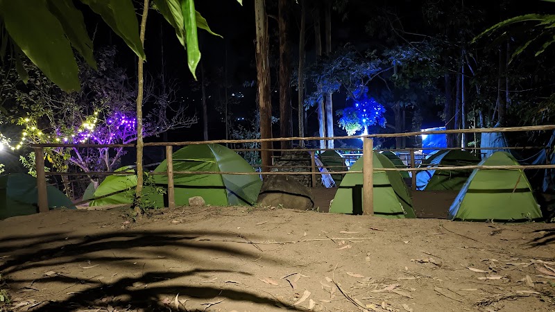 Suryanelli jungle camp munnar