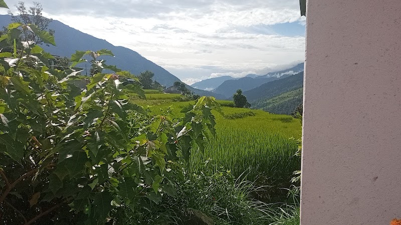 Base Dhaulagiri Hotel & restaurant - Base Dhaulagiri Hotel & restaurant Mauwaphant Raghugandga-03, Piple 33200, Nepal