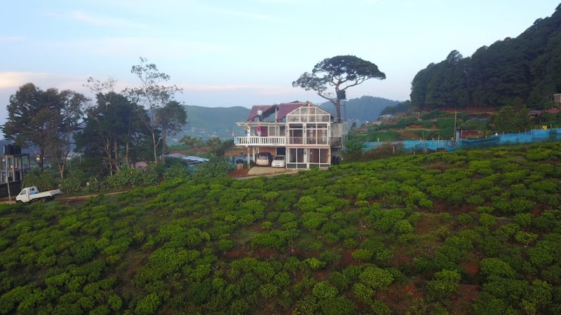 Tea Garden Cottage - Tea Garden Cottage 16/6, sripiyathissapura, bambarakelle., A5, Nuwara Eliya 22200, Sri Lanka