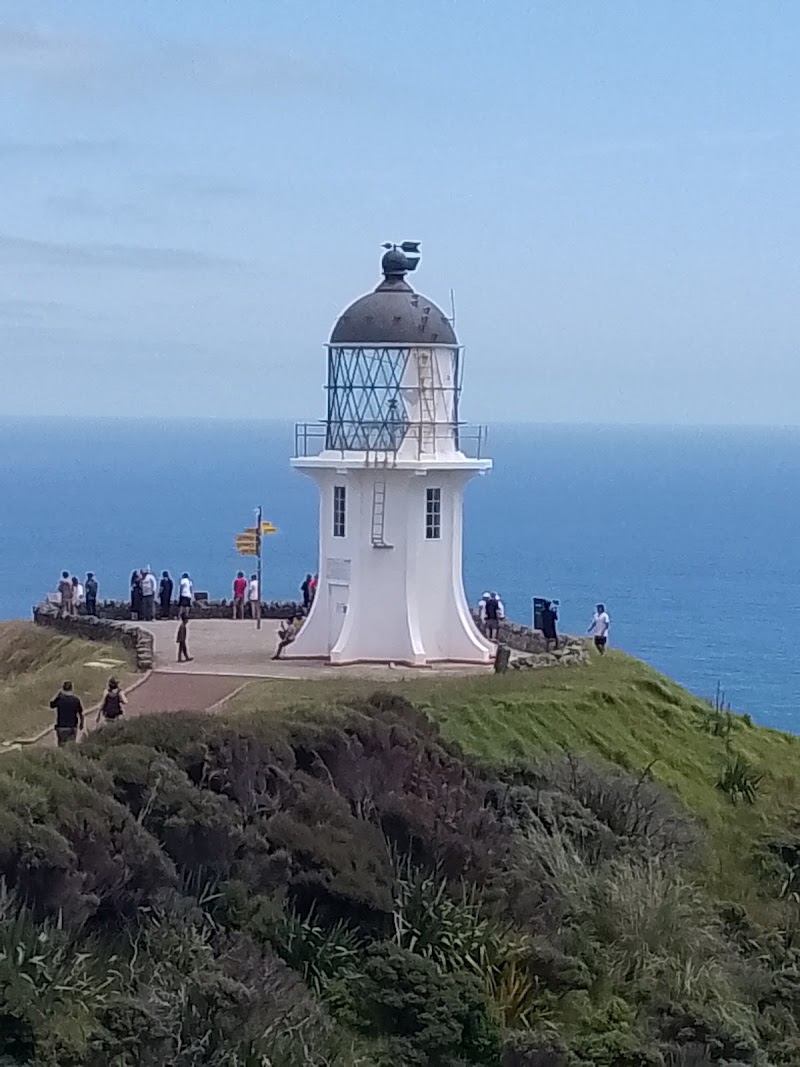 Mullarkey Tours - Mullarkey Tours 69 Marsden Road, Paihia 0200, New Zealand
