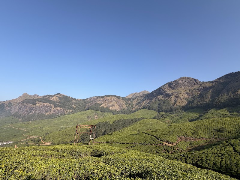 Munnar travel expert cabs - Munnar travel expert cabs Munnar Bypass, Anachal, Kerala 685565, India