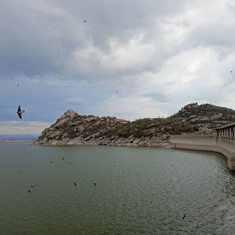 Jawai Dam - Jawai Dam, Rajasthan 306126
