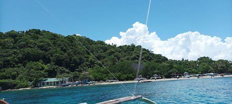Apo Island Marine Sanctuary - Apo Island Marine Sanctuary, 37FC+M6V Apo Island, Dauin, Negros Oriental, Philippines