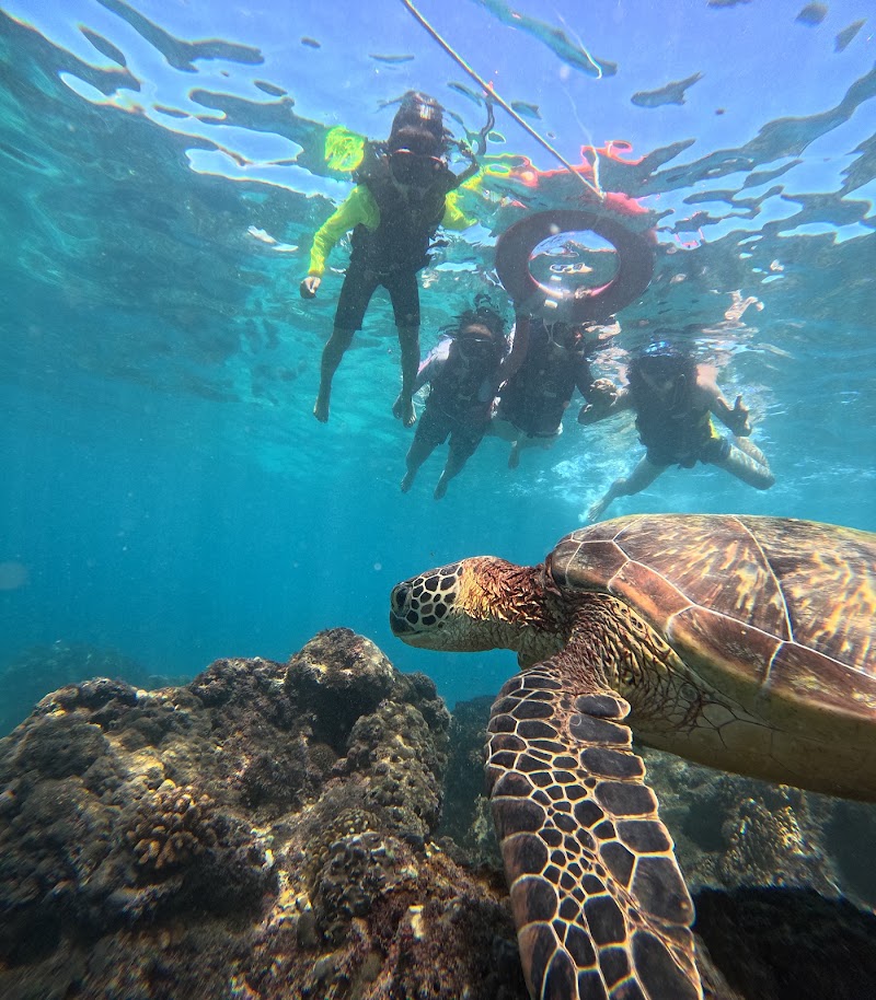 小琉球｜輕旅泡泡潛水度假中心TLB｜浮潛、水肺、SUP、風帆、獨木舟、潛旅、住宿、餐廳、酒吧