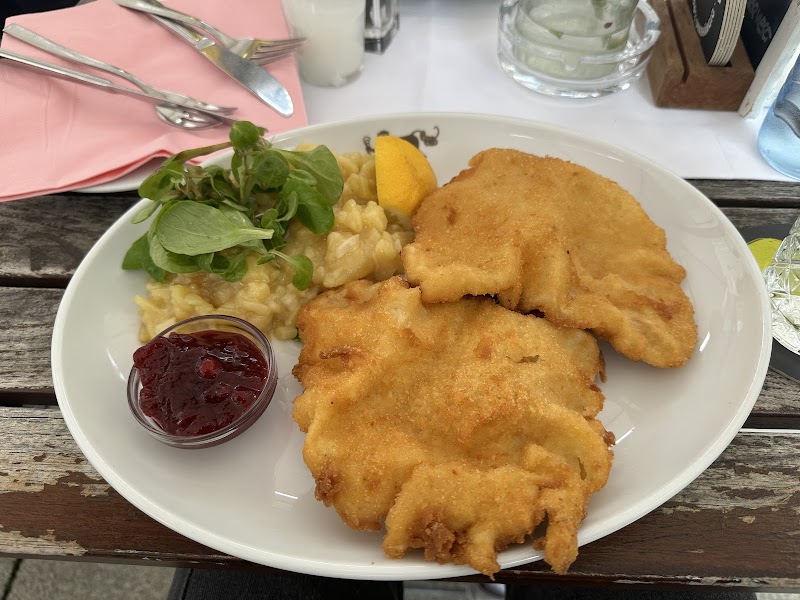 Zum fidelen Affen - Zum fidelen Affen Priesterhausgasse 8, 5020 Salzburg, Austria