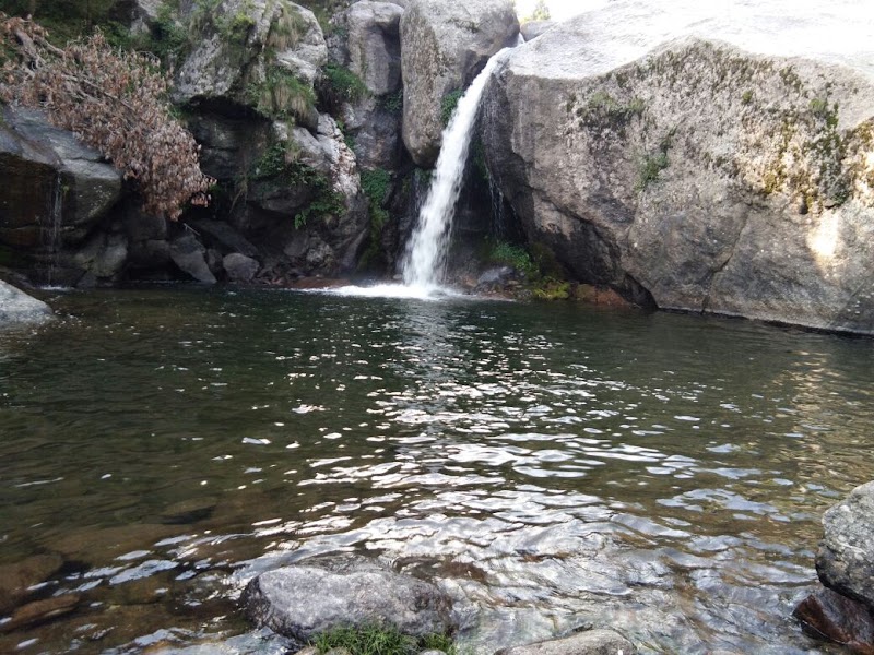 Nohradhar - Nohradhar, Himachal Pradesh 173104, India