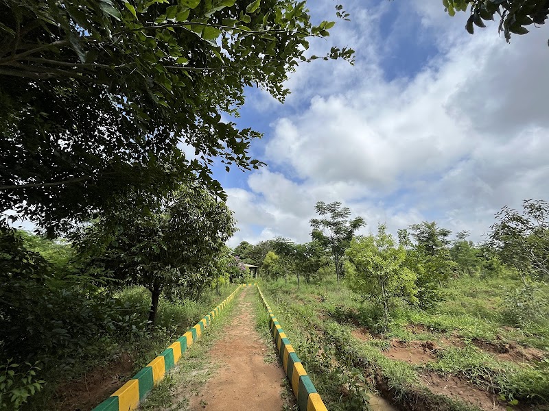 J B Kaval Tree Park