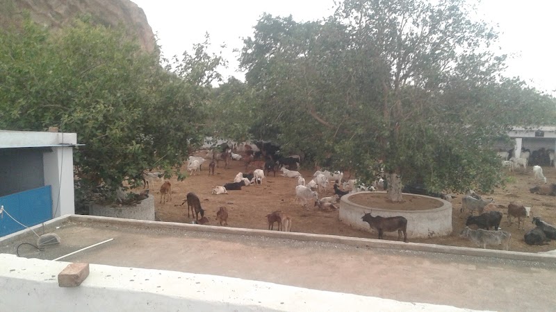 Dayal Das Mandir - Dayal Das Mandir 922M+4MW, Tikli, Haryana 122101, India