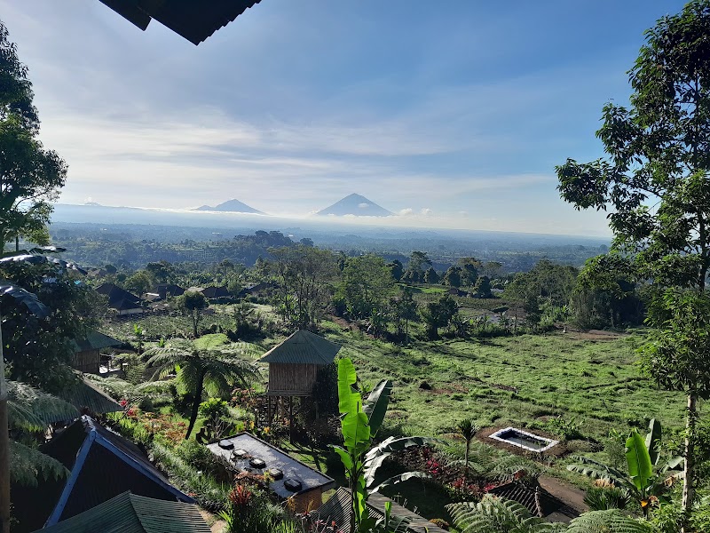 Bali Tree House Pelangi - Bali Tree House Pelangi M5RC+CP4, Baturiti, Tabanan Regency, Bali 82161, Indonesia