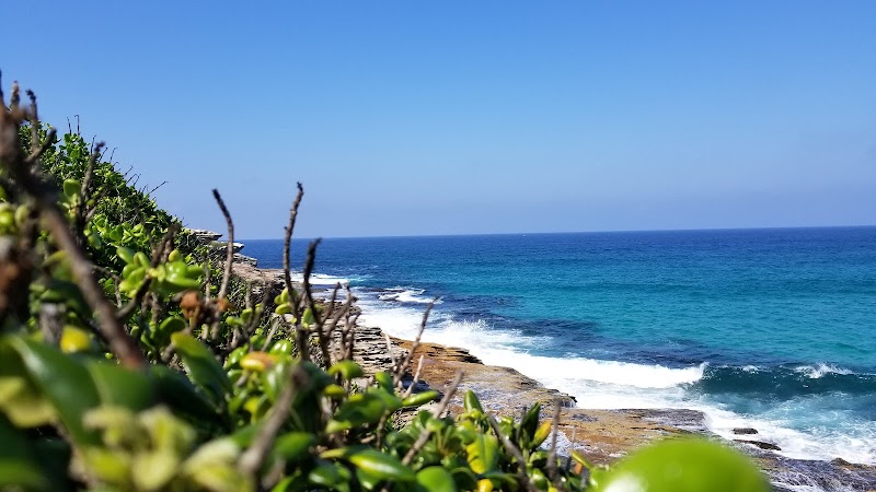 Bondi Beach - Bondi Beach Bondi Beach NSW 2026, Australia