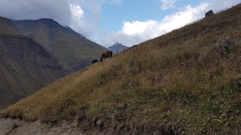 Juta - Mountain Chaukhebi Road - Juta - Mountain Chaukhebi Road, Juta - Mountain Chaukhebi Rd, Juta, Georgia