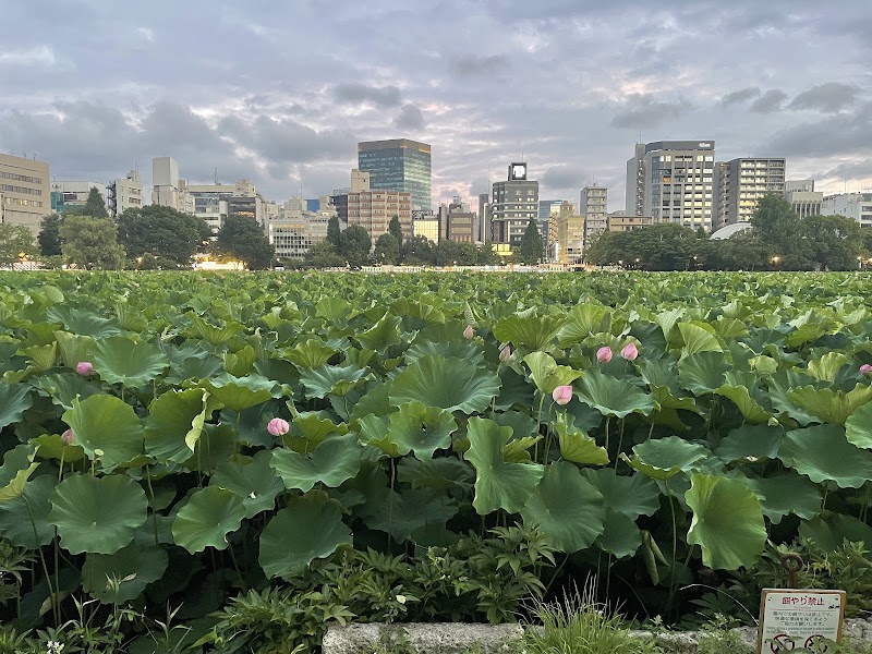 Shinobazuno Pond