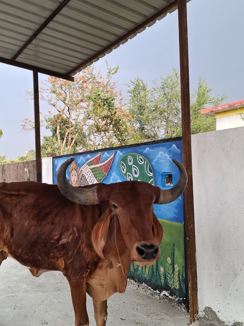 Gauri gopal gau seva dham 🚩 - Gauri gopal gau seva dham 🚩, Chhatauna Main Rd, Chhatauna, Chhattisgarh 495220, India