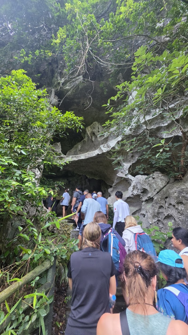 Động Trung Trang - Động Trung Trang, Cat Hai, Hai Phong 05418, Vietnam
