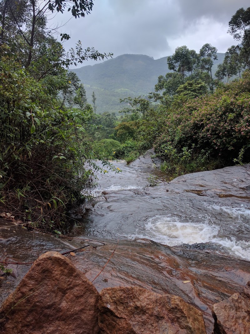 Talayar Tea Factory - Talayar Tea Factory 5442+FV8, Kannan Devan Hills, Kerala 685614, India