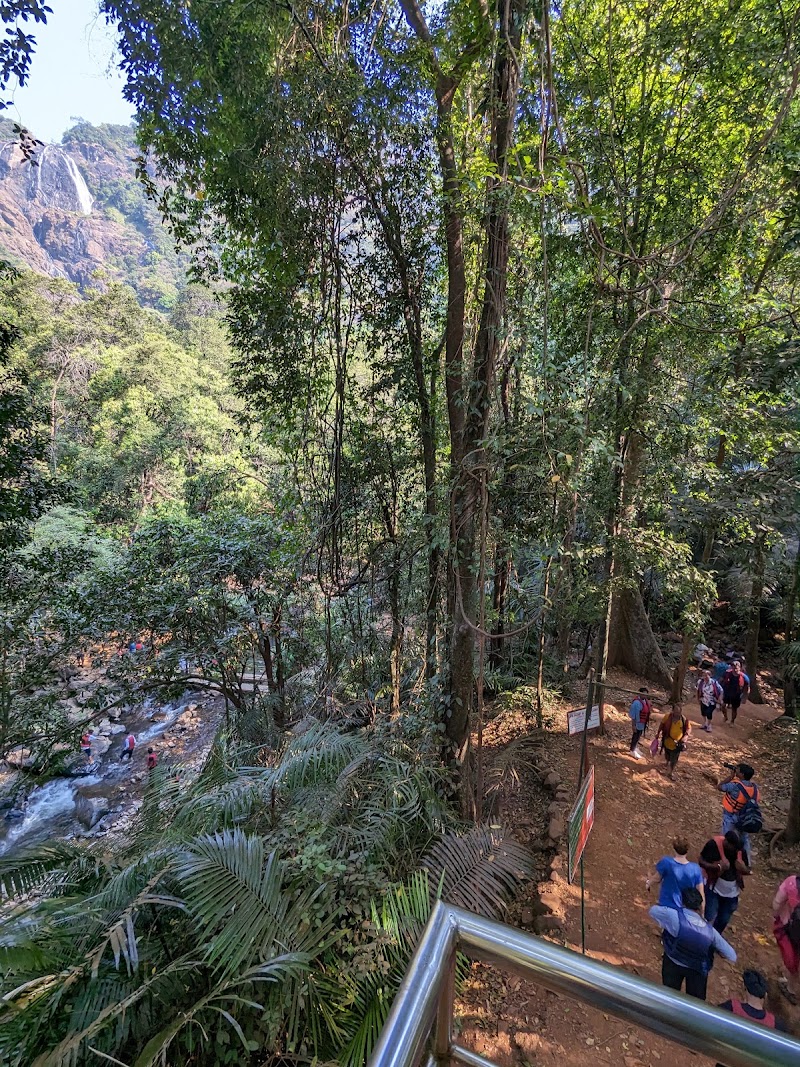 Dudhsagar Watchtower - Dudhsagar Watchtower 8857+H9Q, Sonauli, Goa 403410, India