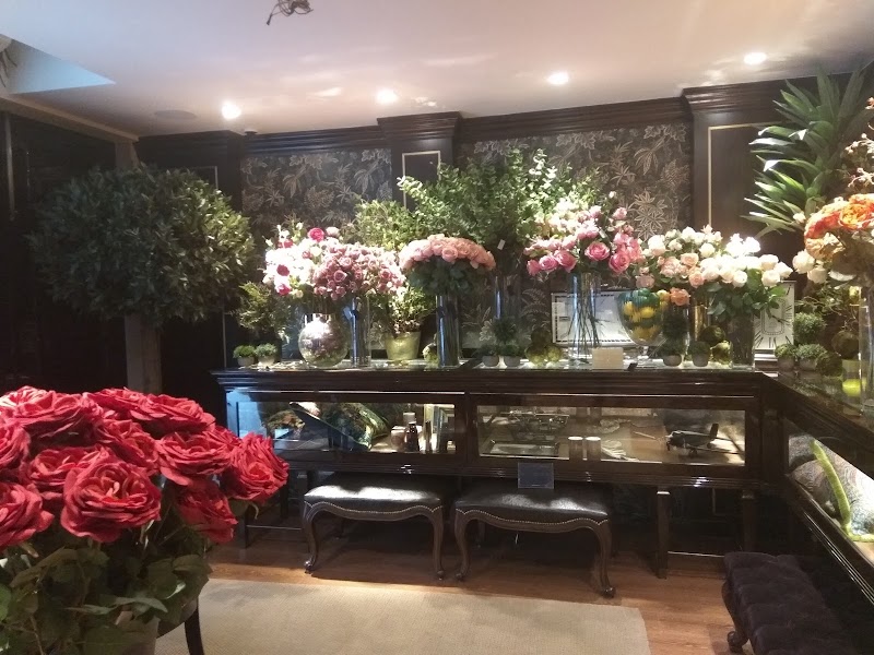 apartment9 India - apartment9 India, 118, JP House Rd, Shahpur Jat, Siri Fort, New Delhi, Delhi 110049, India