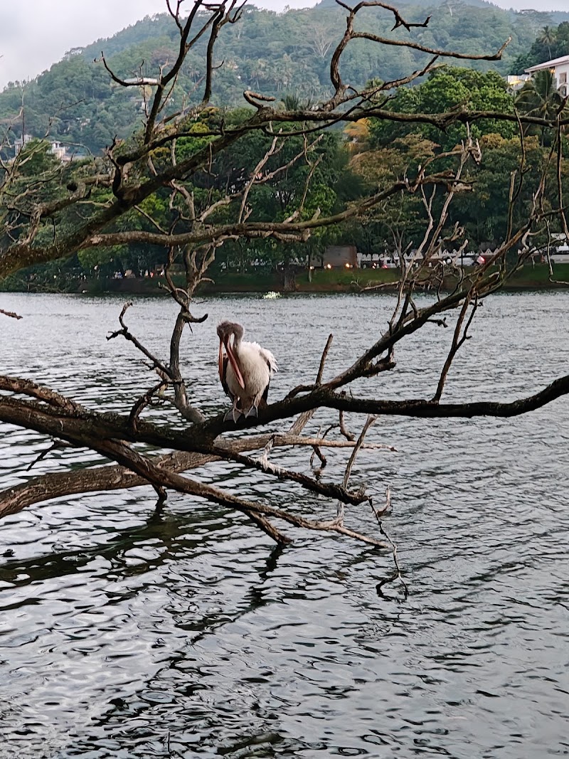 Kandy Lake Round - Kandy Lake Round, 7JVQ+448, Kandy, Sri Lanka