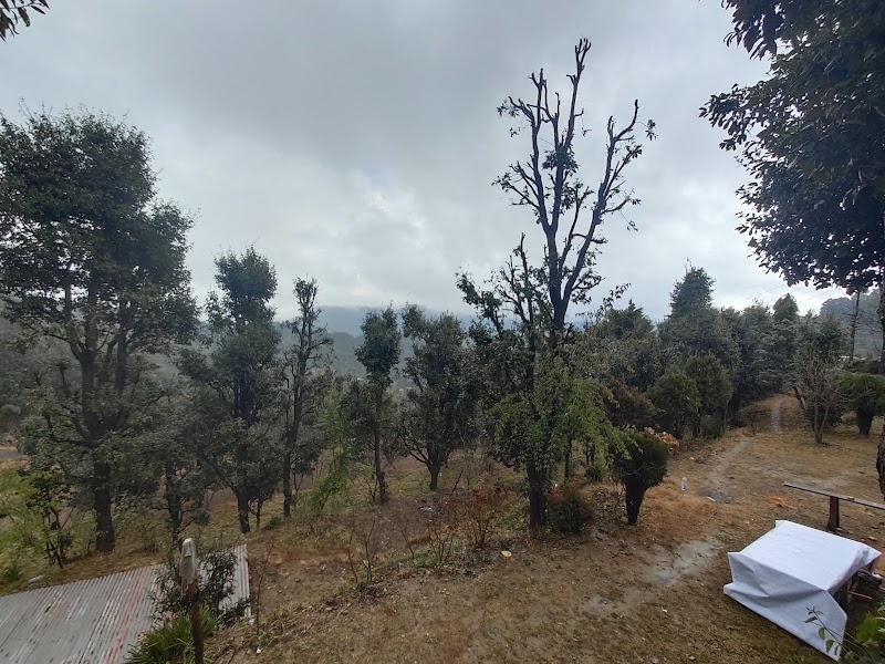 Mystic Mukteshwar lodge - Mystic Mukteshwar lodge, Sargakhet, Mukteshwar, South Gola Range, Uttarakhand 263138, India