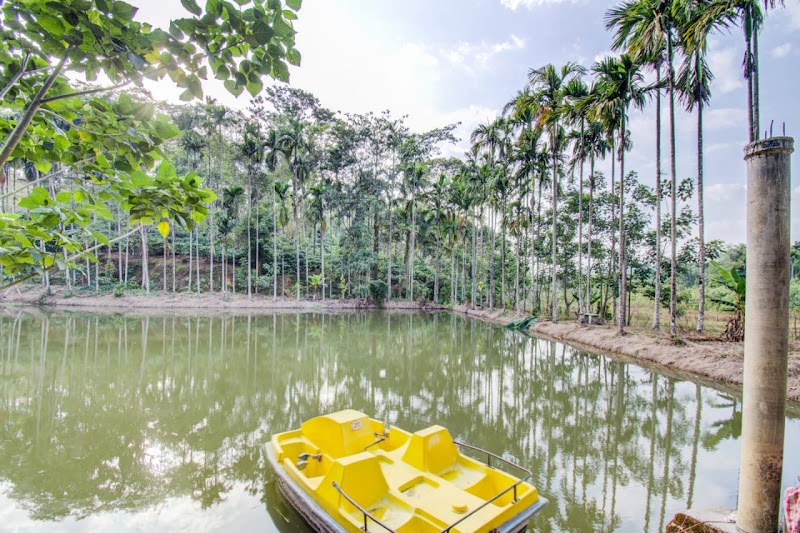 Misty Villa Resort - Misty Villa Resort, Kumbaladalu, Hodavada, Karnataka 571214, India