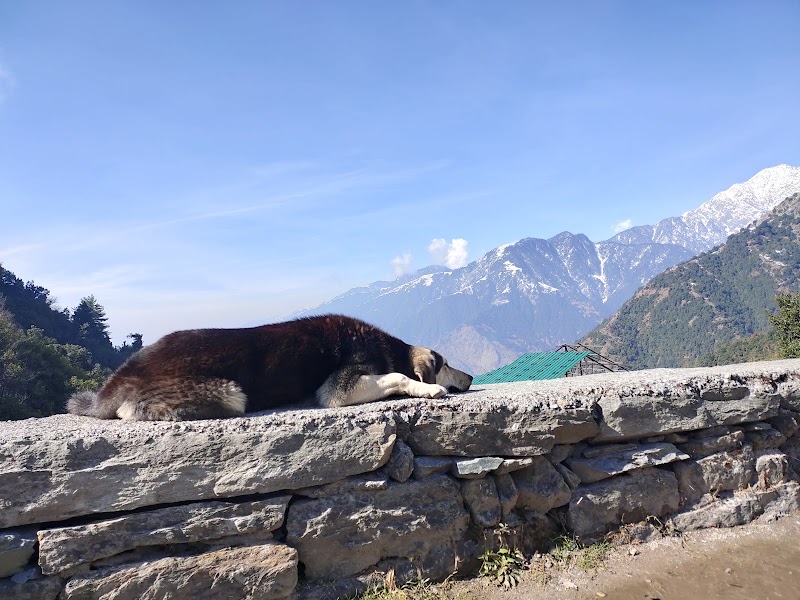 Vacation Himachal Dharamshala Taxi - Vacation Himachal Dharamshala Taxi, Shop Number 212, Ward Number 11, NH 503, Sudher, Dharamshala, Himachal Pradesh 176215, India